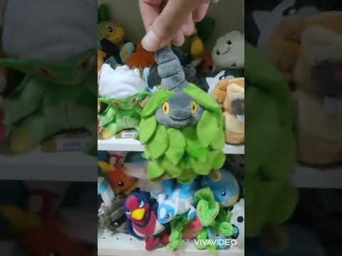 ミノムッチがかわいい　Pokemon fit #shorts