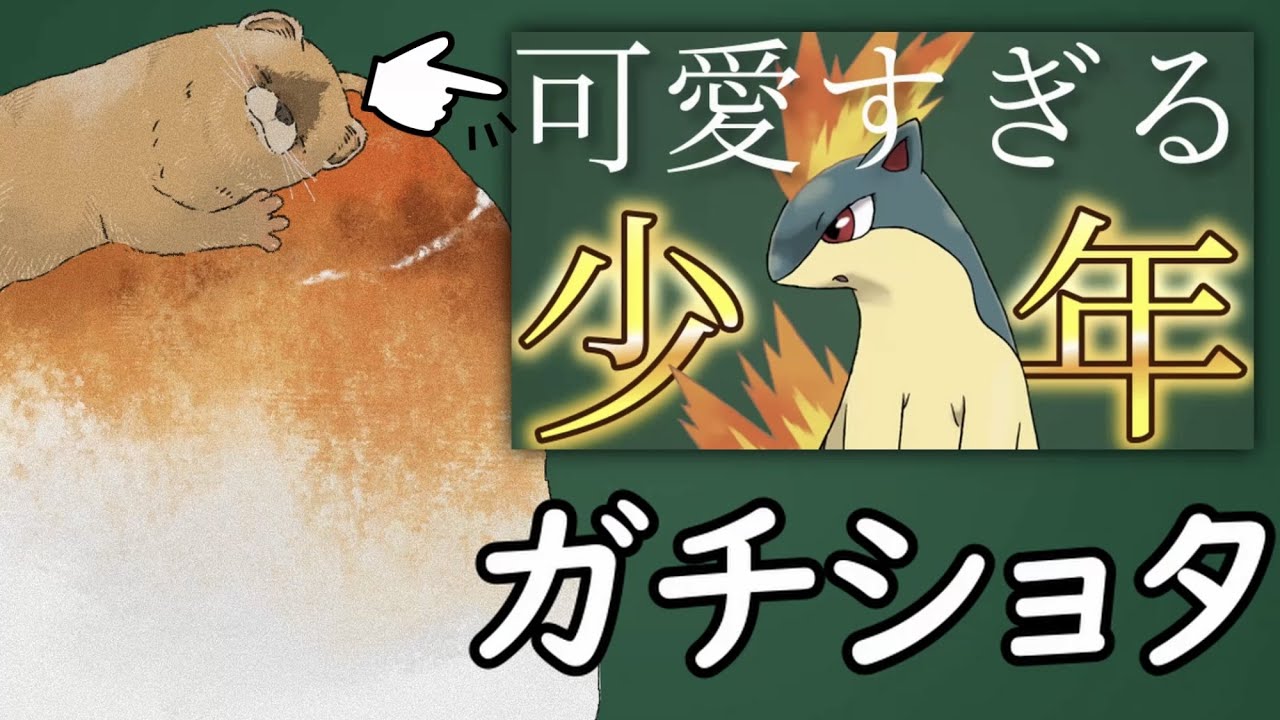 見た目があまりにもショタすぎるポケモンについて
