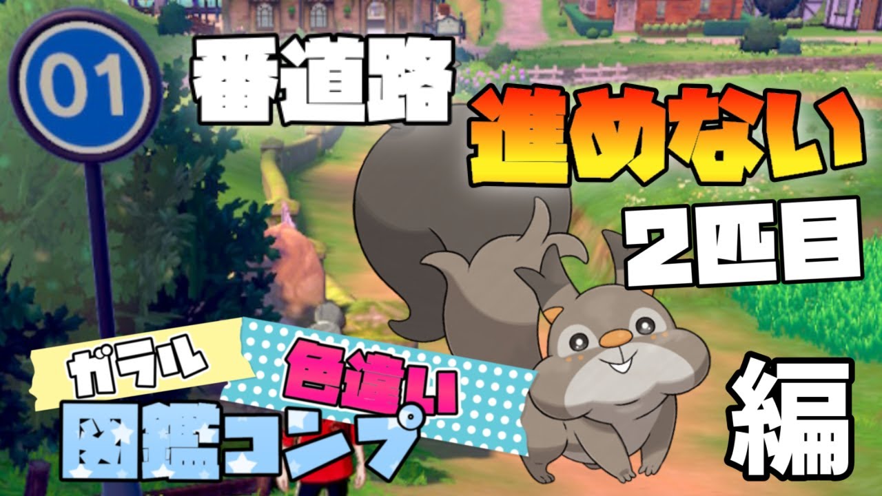 [#Shorts] 1分実況 悲報ホシガリス被りました。 [ポケモン剣盾]