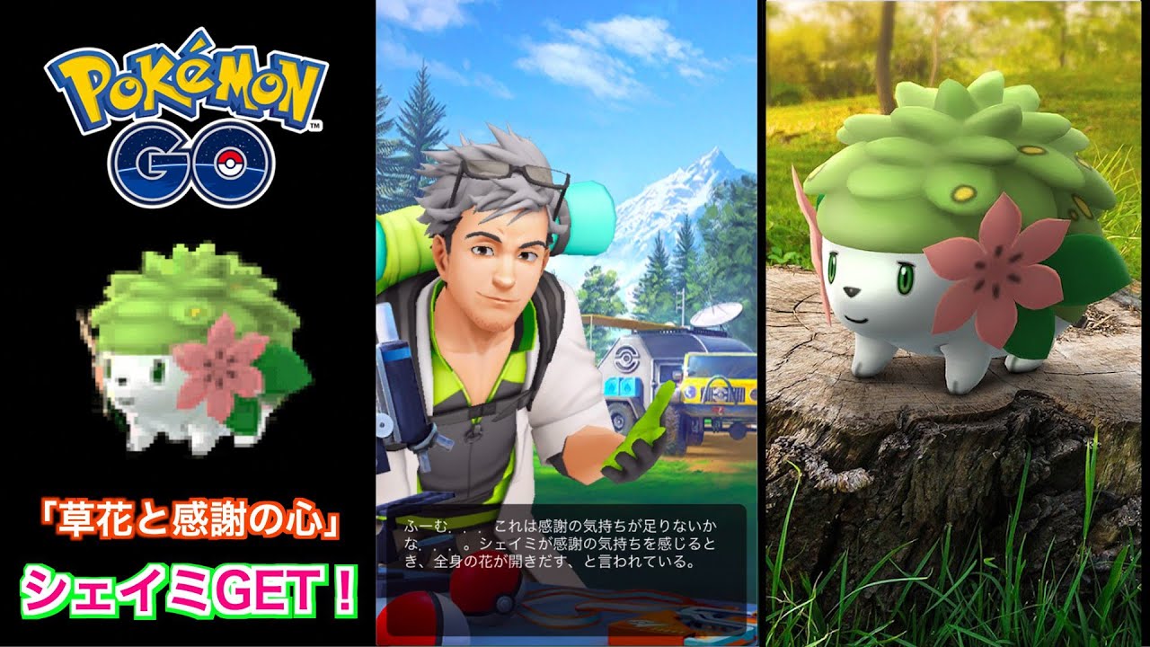 【シェイミGET！】『草花と感謝の心』スペシャルリサーチ  全タスク【ポケモンGO】