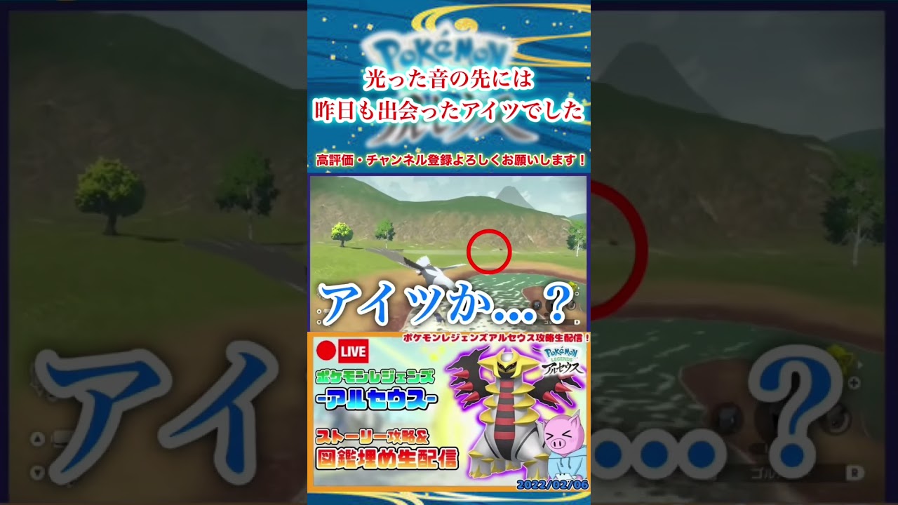 【ポケモンレジェンズアルセウス】２体目の色違いビッパを手に入れた男 #shorts