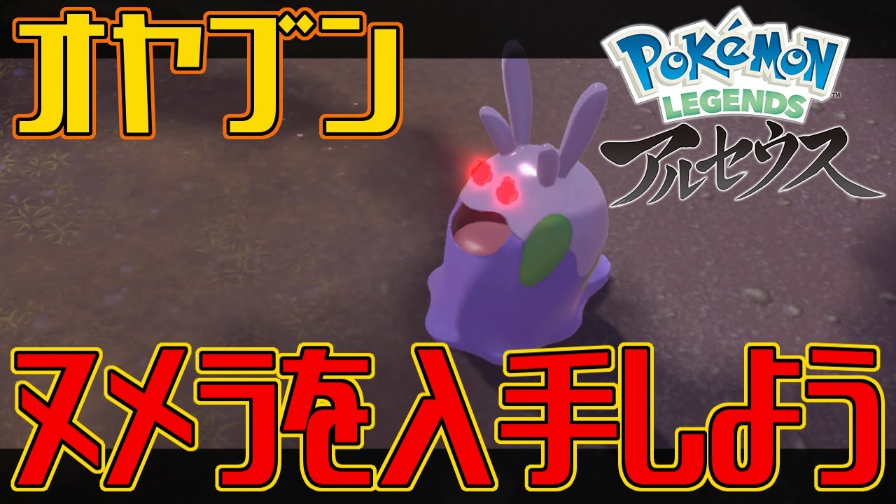 【ポケモンアルセウス】オヤブンのヌメラを入手しよう【Pokémon LEGENDS アルセウス】