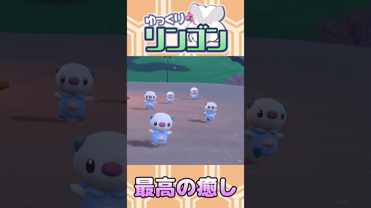 【癒し】色違いミジュマル6匹がトコトコ走ってくる動画【ポケモンSV】#shorts