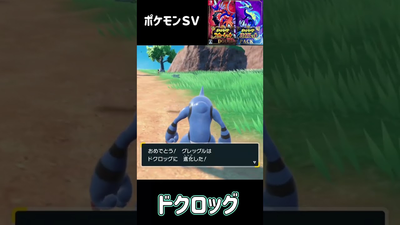 グレッグル進化　ドクロッグ　ポケモンSV #pokemon
