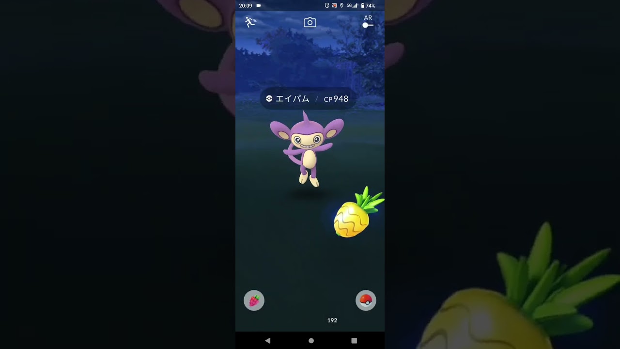 【ポケモンGO】エイパムGET！