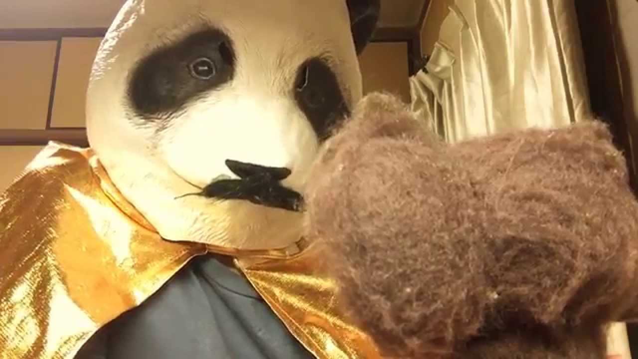 ポケモンダブルレート対戦＃メガメタグロスパ構築後編