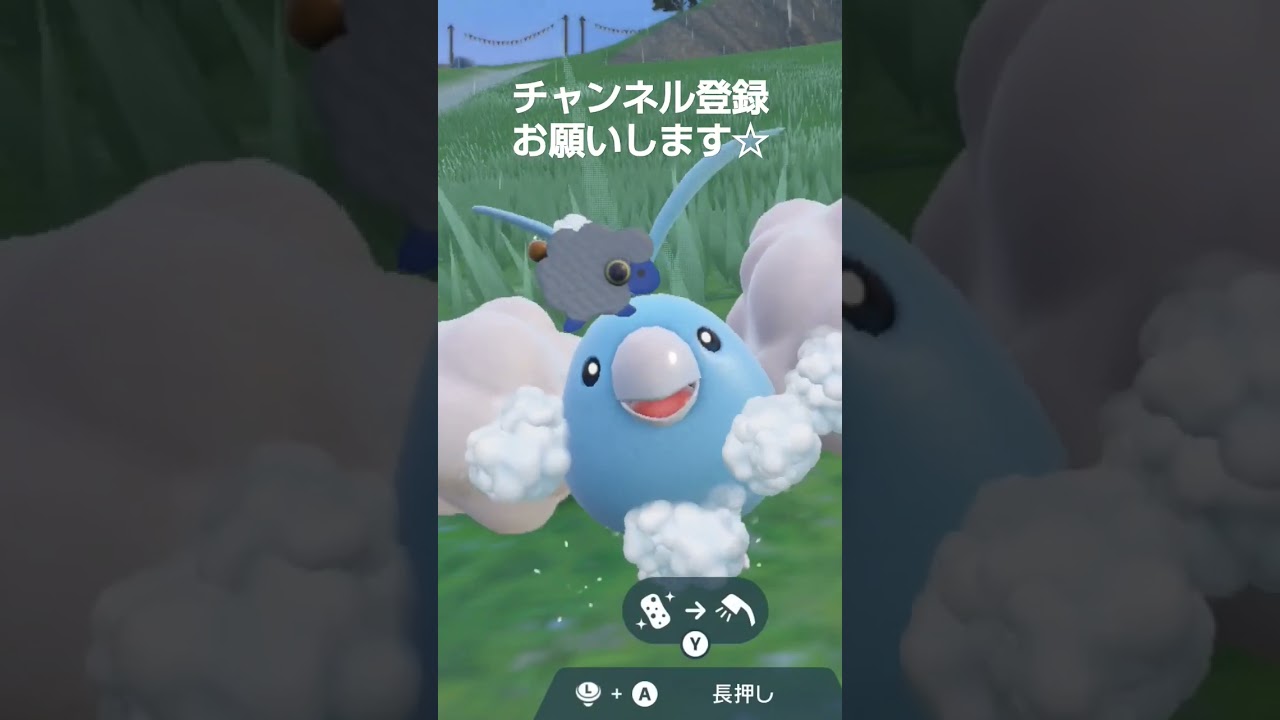 ポケモンSV シャワーをかけたら、うれしそうに鳴いた、チルット