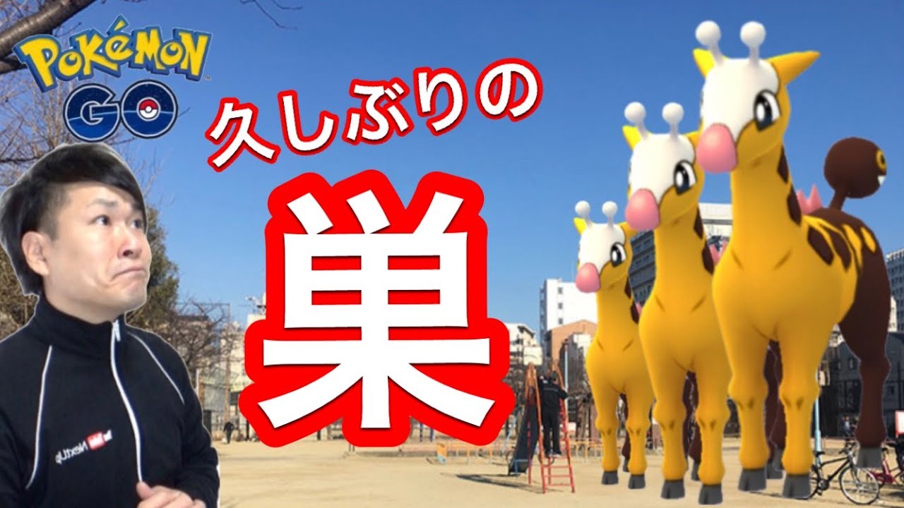 【ポケGO】実はひっそり存在した!?キリンリキの巣に突入！【初心者向け講座】