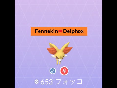 【Pokémon GO】Evolution ＃653 フォッコ ★Not shiny★#Shorts