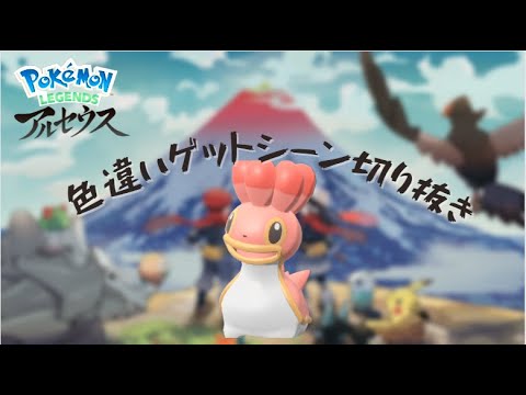 【アルセウス】フィールド飛んでたら色違い出るのうれしすぎる（カラナクシ）＃short