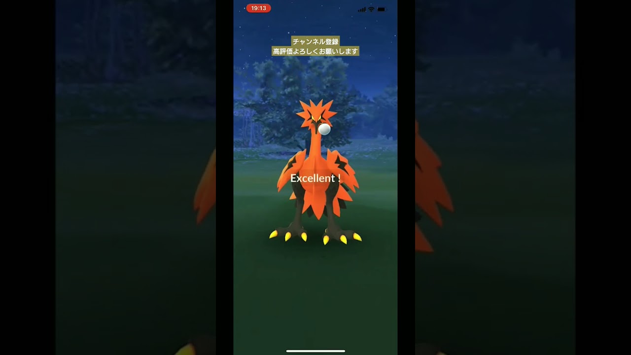 ガラルサンダー #ポケモンGO#ガラスサンダー