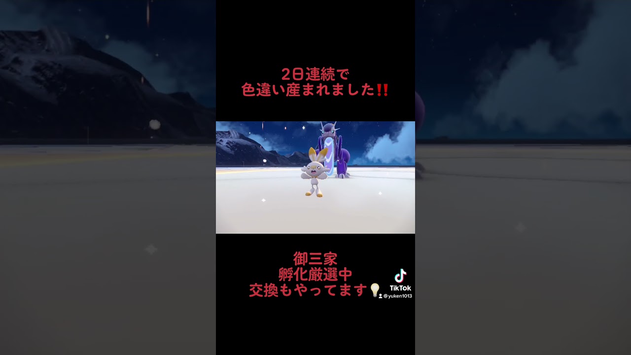 ポケモンsv ヒノアラシ ヒバニー  2日連続 色違い 厳選 ウルボ