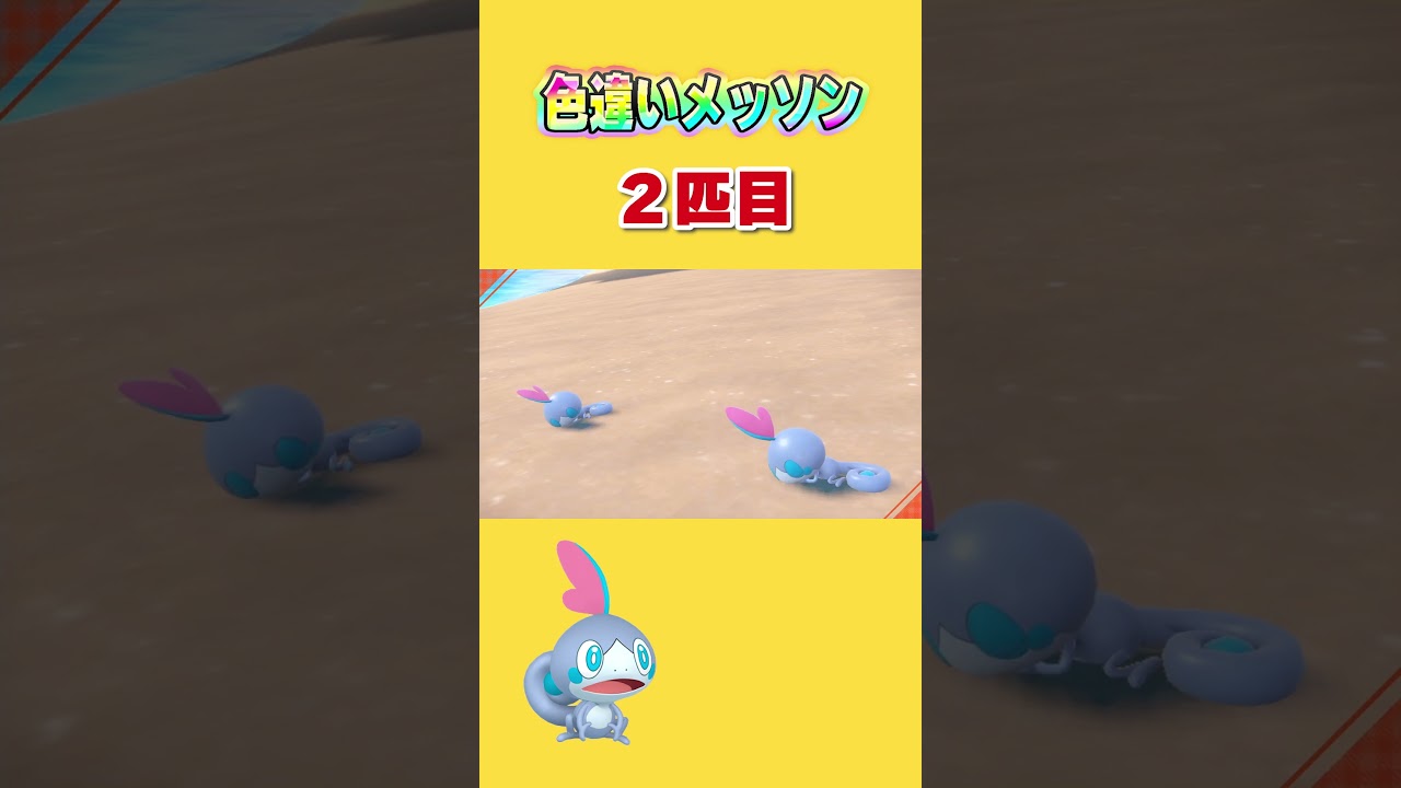 色違いメッソン２匹目でた！！！！！【ポケモンSV】【色違いメッソン】