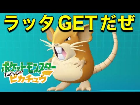 Let's Go!ピカチュウ#12 ラッタGETだぜ⁉︎
