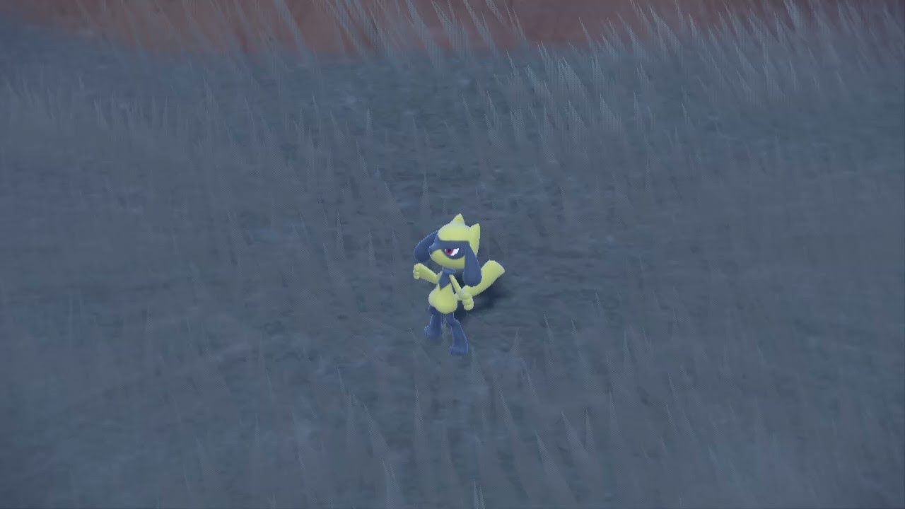 【ポケモンSV】リオル　色違い