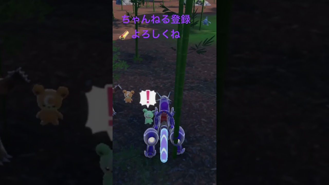 色違いヒメグマ、可愛すぎる #ポケモンsv #pokemon #色違い #ポケモン #shiny