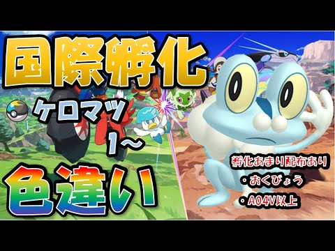 【ポケモンSV】国際孵化色違い厳選　ケロマツ　１～　１日目