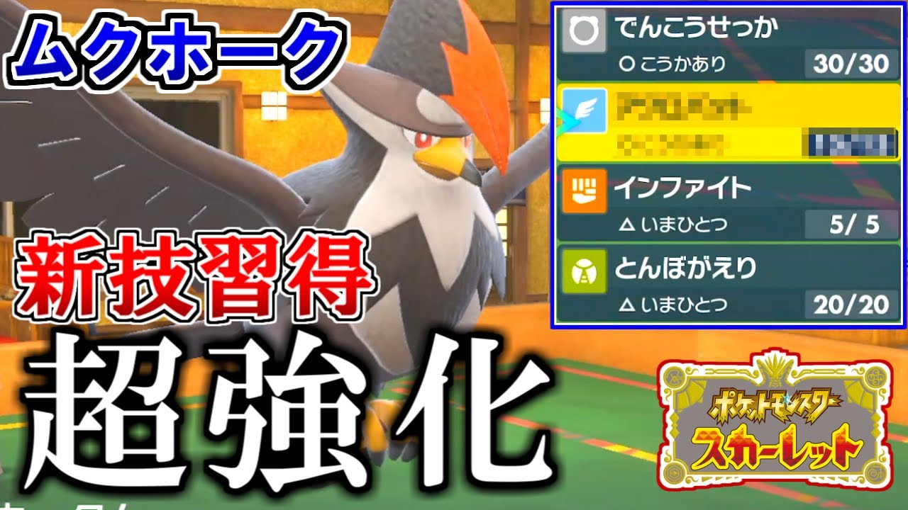 序盤鳥最強ポケモン『ムクホーク』新技習得で超強化された件【ポケモンSV】