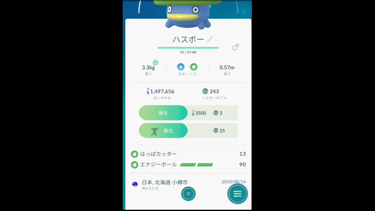 【ポケモンGO】小樽ハスボー ルンパッパ 進化！＼(^o^)／