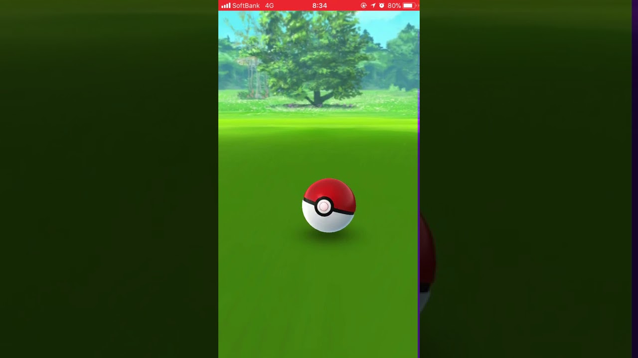 ポケモンGO初ゲット〜トサキント