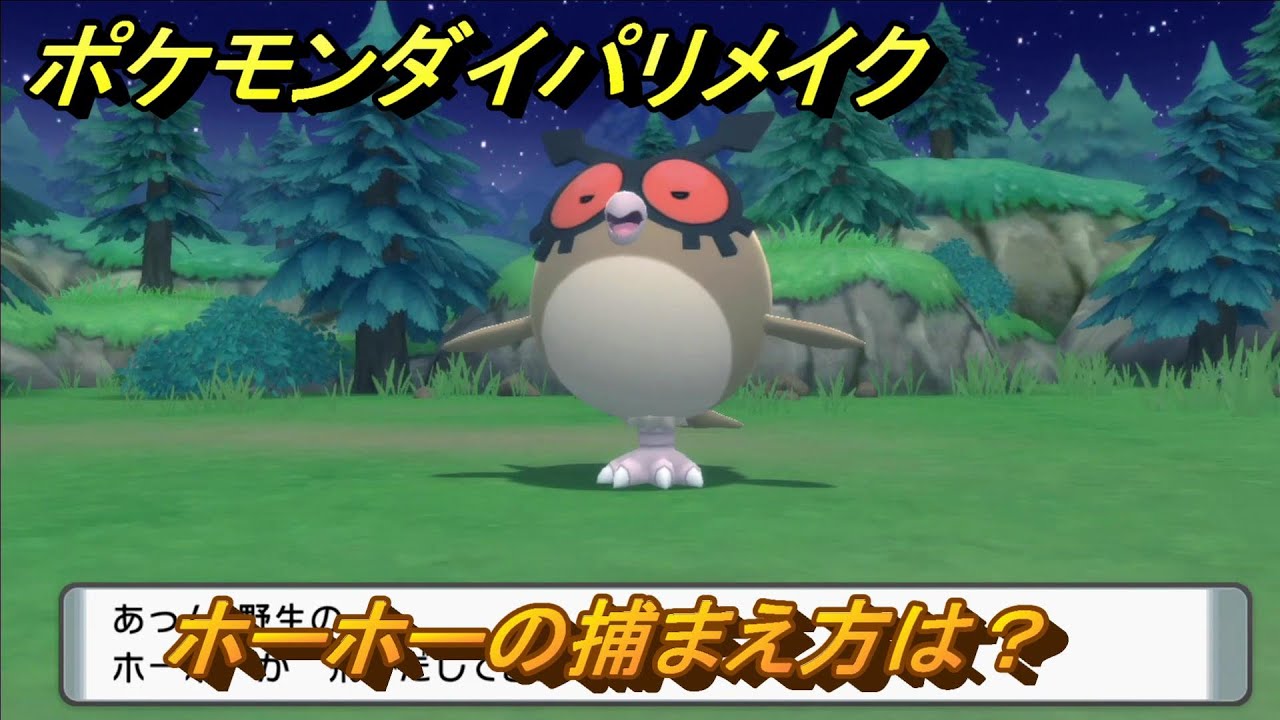 ポケモンダイパリメイク　ホーホーの捕まえ方は？出現場所は？　最新版【ブリリアントダイヤモンド・シャイニングパール】