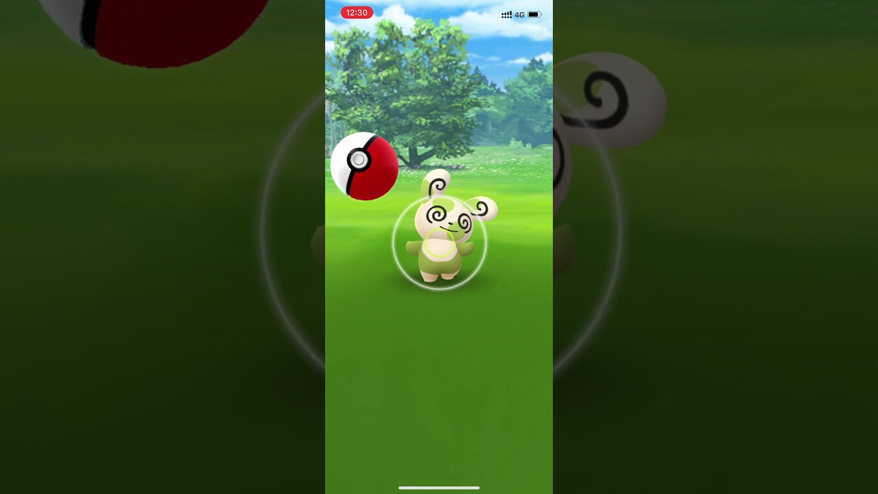 【ポケモンGO】GOツアーホウエン パッチール色違い