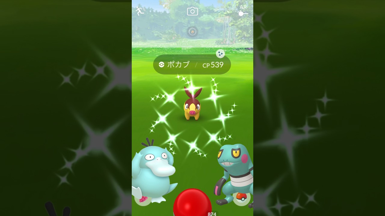 今日の色違い！#32 ポカブの色違い出たぞー！ #今日の色違い #ポケモンgo #色違い #pokemon