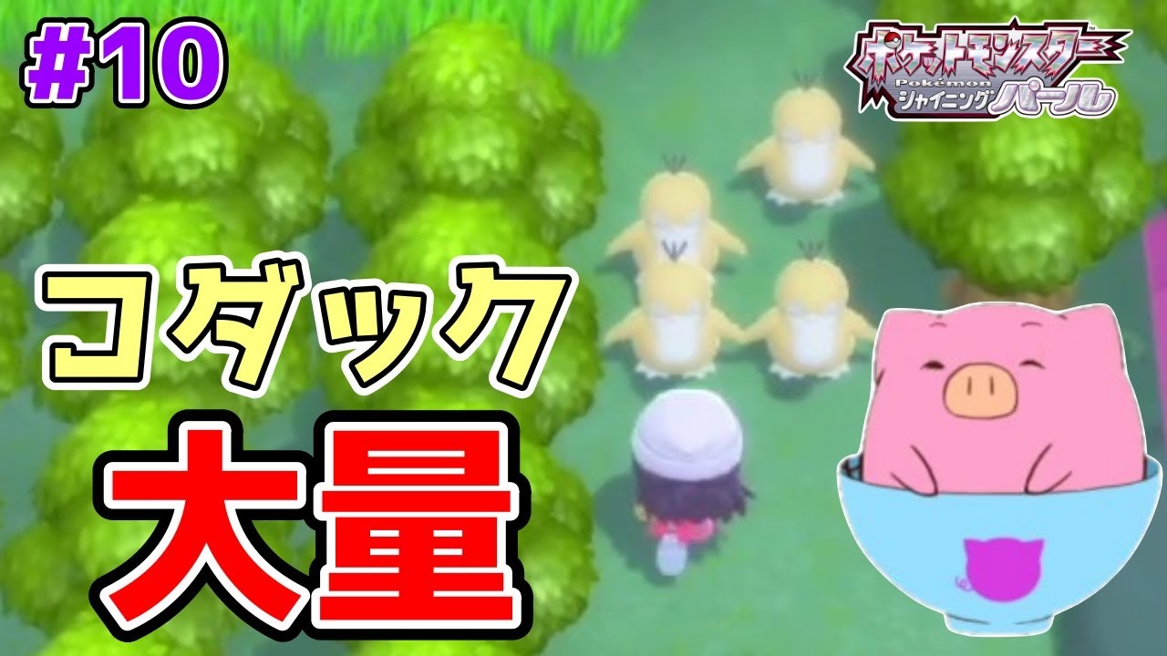 #10　大量のコダックに遭遇？！【ポケットモンスターシャイニングパール】