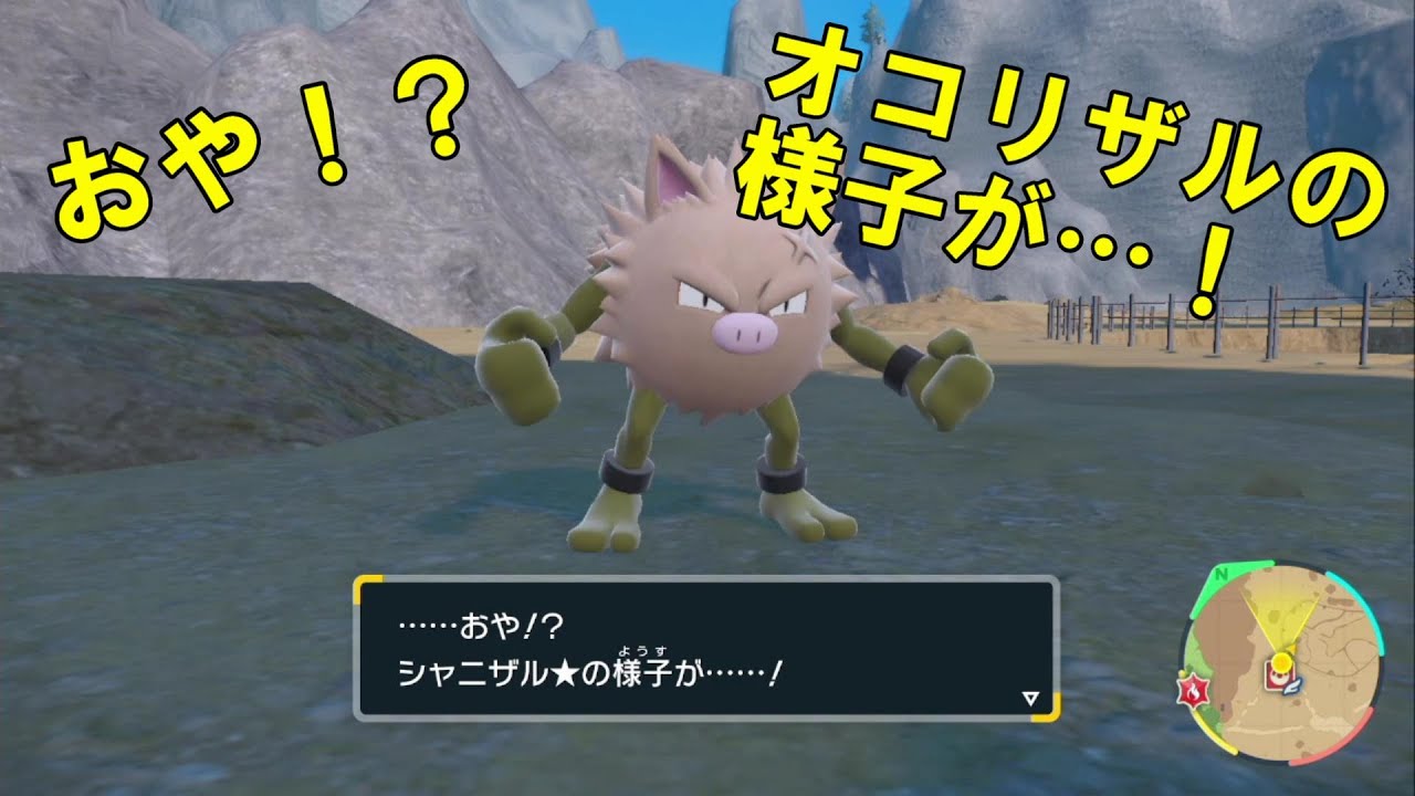 【ポケモンSV】今作で追加されたオコリザルの次の進化！！！※ネタバレ注意【色違い】