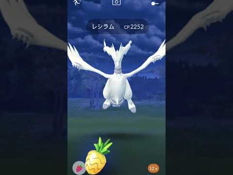 【ポケモンgo】レシラムはパイルの実で満足してしまうほどチョロい体ですw