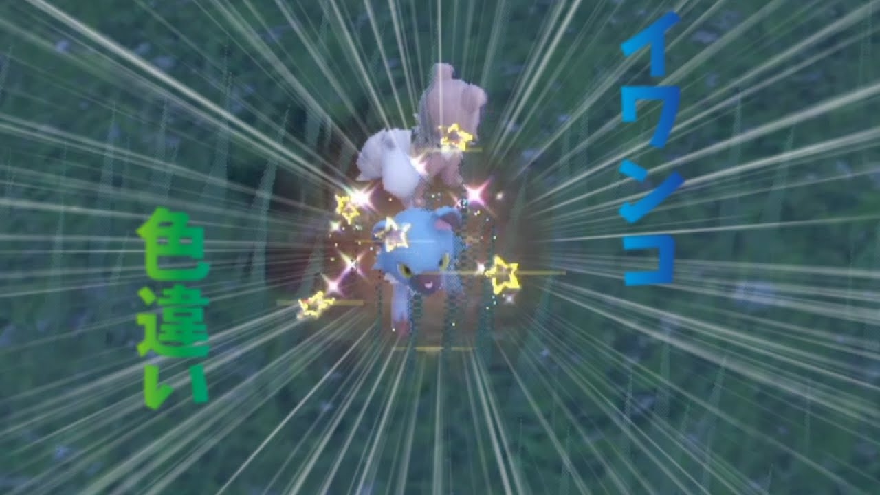 【ポケモンsv】イワンコ色違い
