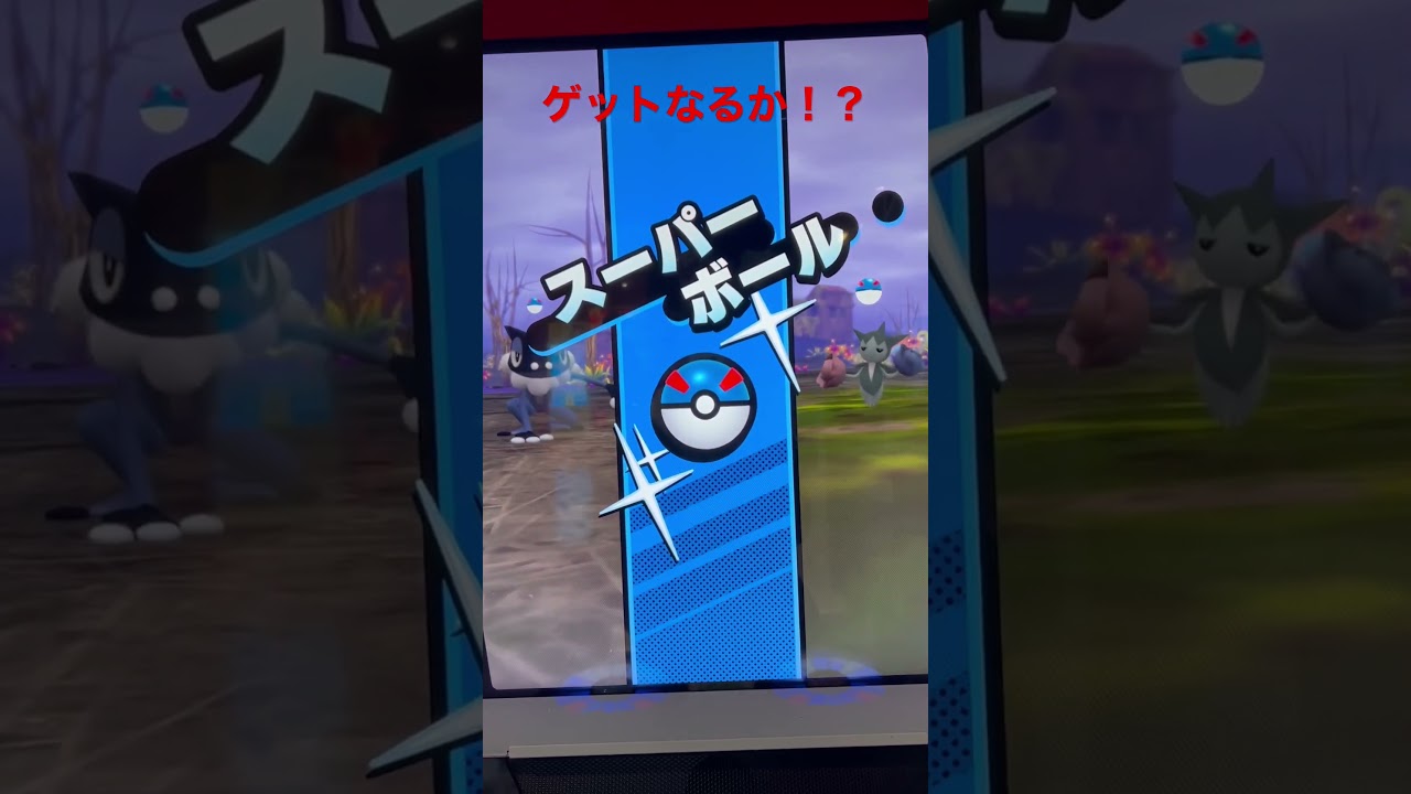 【メザスタ】スーパースター ゼクロム【ダブルチェイン】#ポケモン #メザスタ #pokemon
