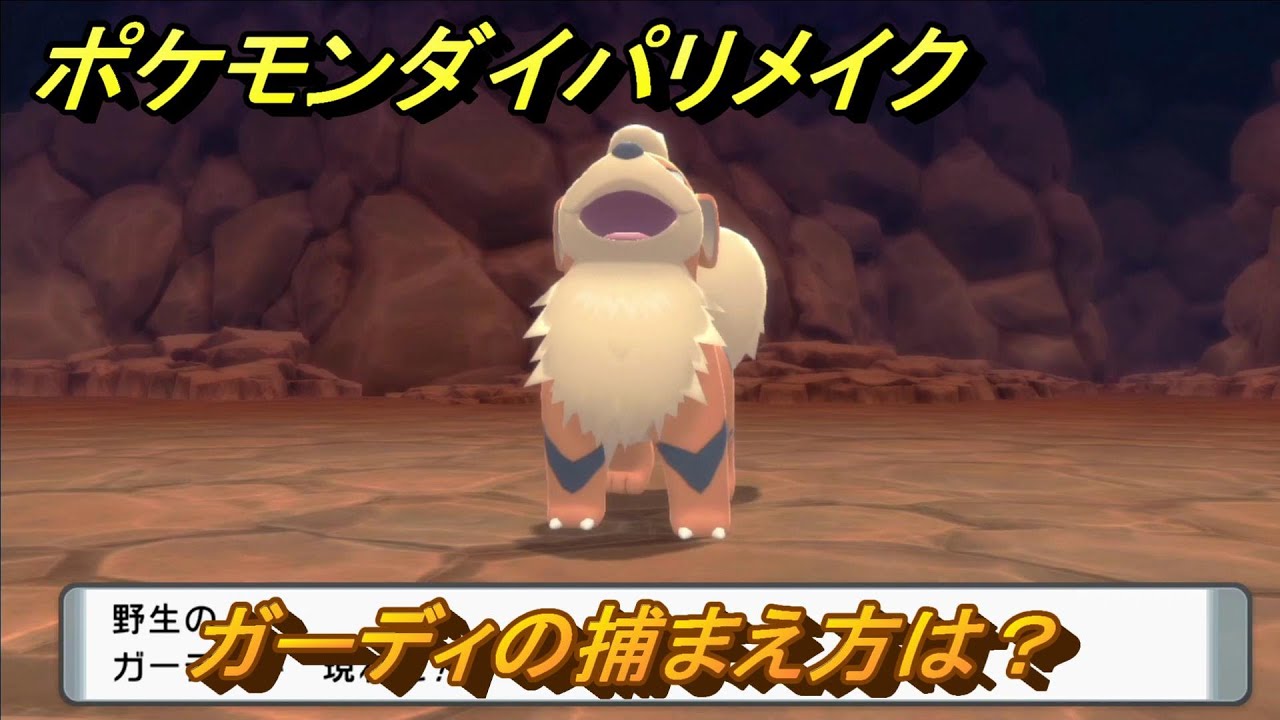 ポケモンダイパリメイク　ガーディの捕まえ方は？出現場所は？　最新版【ブリリアントダイヤモンド・シャイニングパール】