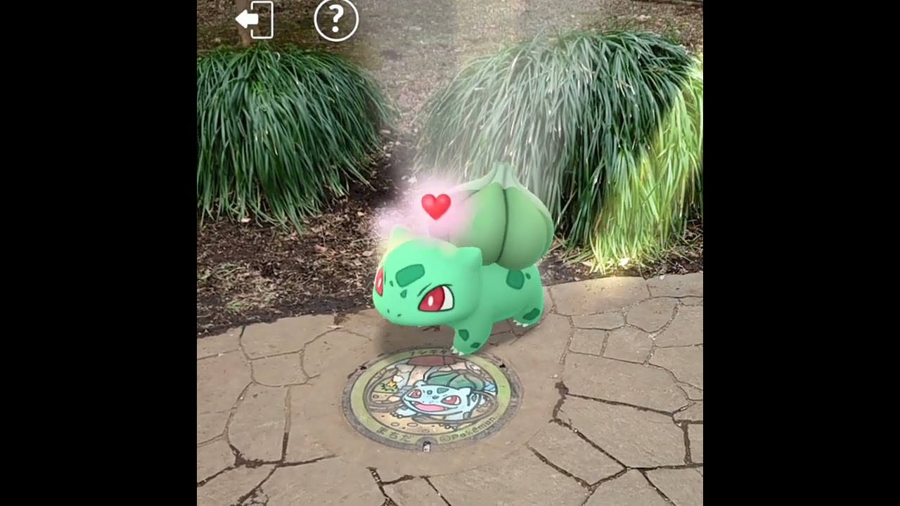 フシギダネにポケふた前で #つるのむち してもらった。#ポケモンGO #PokemonGO #GOSnapshot #ARofTheDay #ポケふた