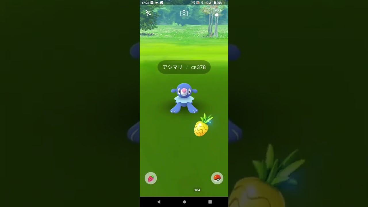 【ポケモンGO】アシマリGET！