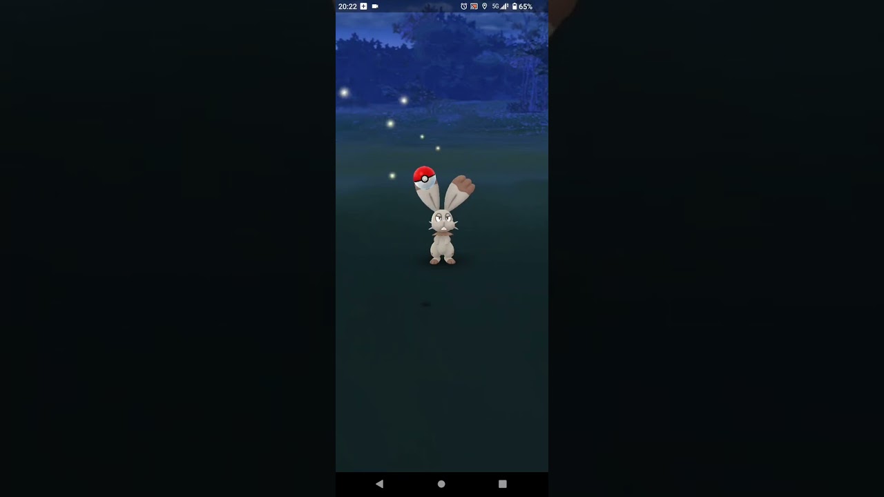 【ポケモンGO】ホルビーGET！