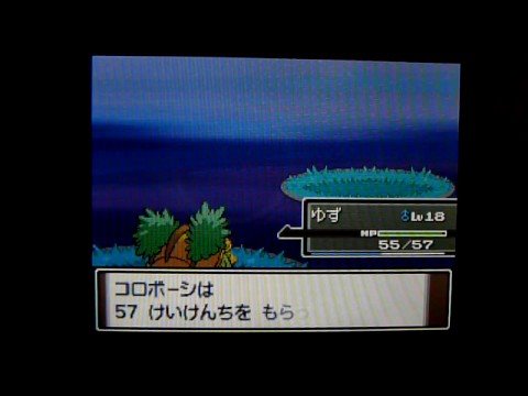 VSカラナクシ／コロボーシ進化／ポケモンプラチナ