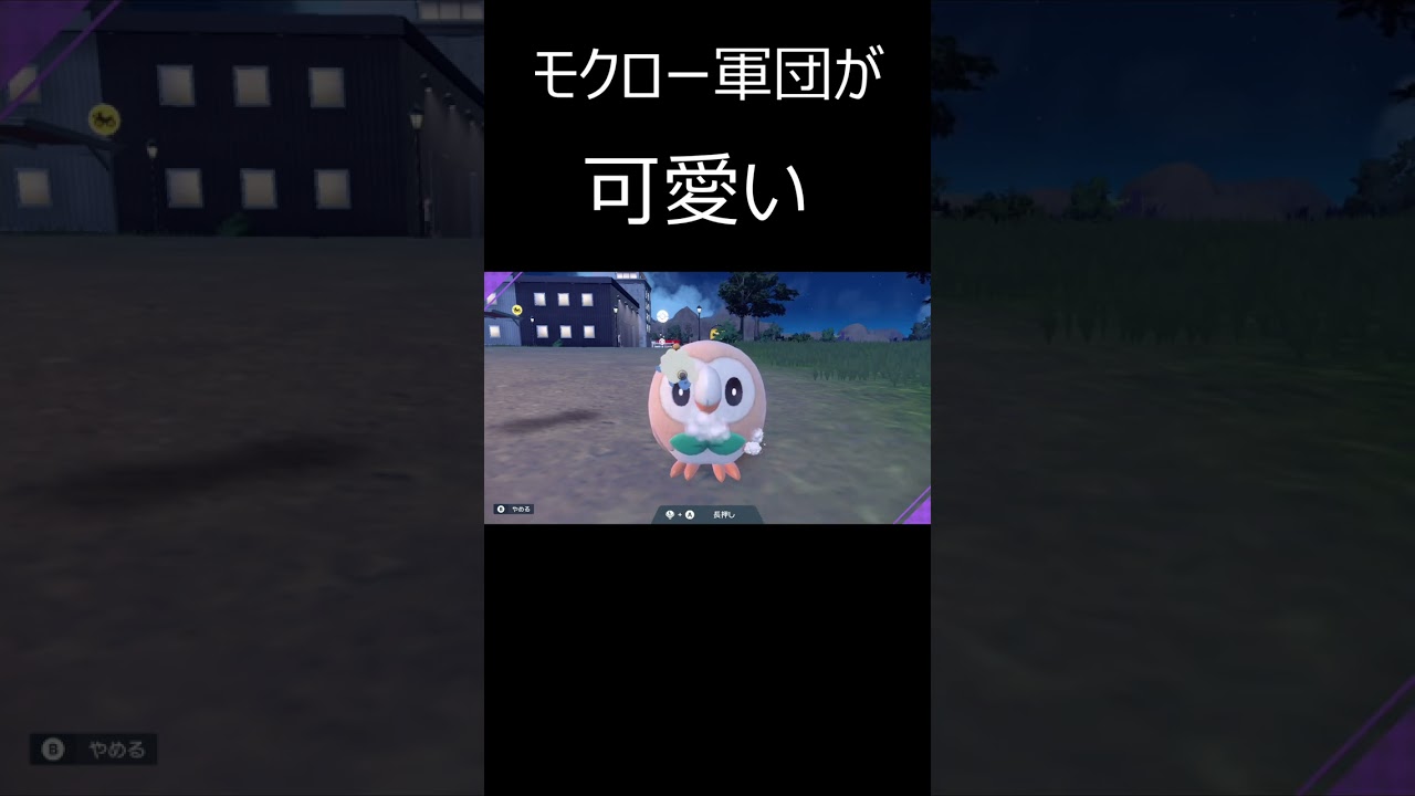 モクロー軍団が可愛すぎる　#shorts