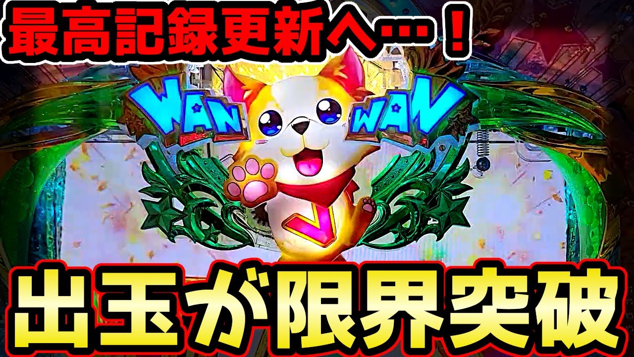 "出玉が限界突破"まさかの最高記録更新へ【PAわんわんパラダイスV】《ぱちりす日記》甘デジ 海物語 ギンパラ わんパラ