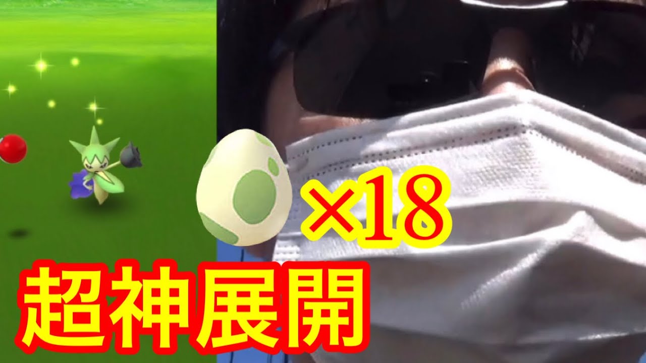 超豪運が発動！ガチ不審者がロゼリアコミュニティデイ完全勝利!!【ポケモンGO】　　　　　　　　　　　　ポケモンゴー　PokemonGo　ロズレイド　スボミー　色違い　飴XL 2キロたまご