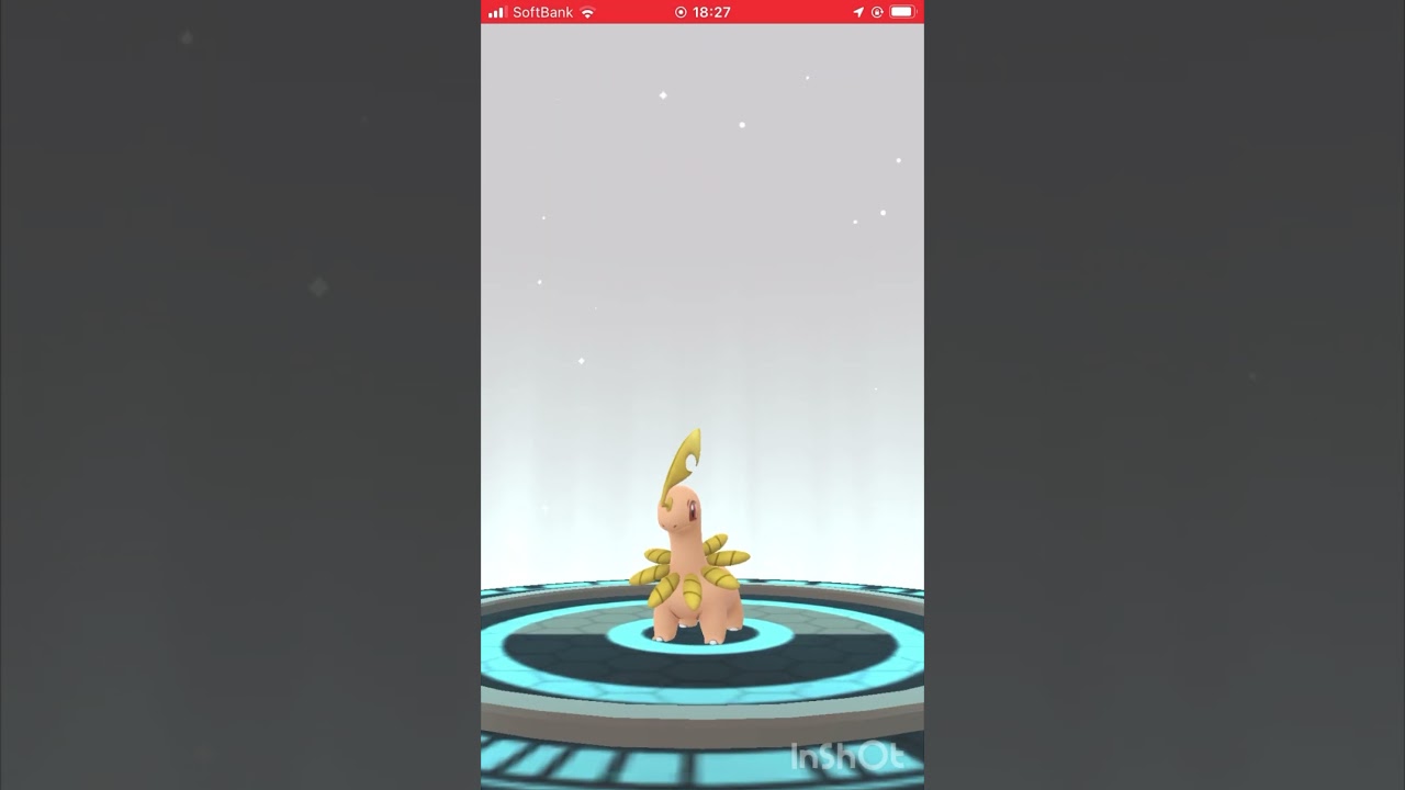色違いのチコリータをベイリーフに進化させてみた！ #ポケモンgo #pokemongo #色違い #shorts