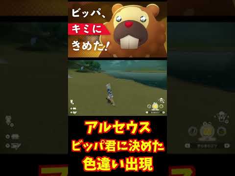 アルセウスで色違い『ビッパきみにきめた！』の色違い出現！！【ポケモン】【アルセウス】