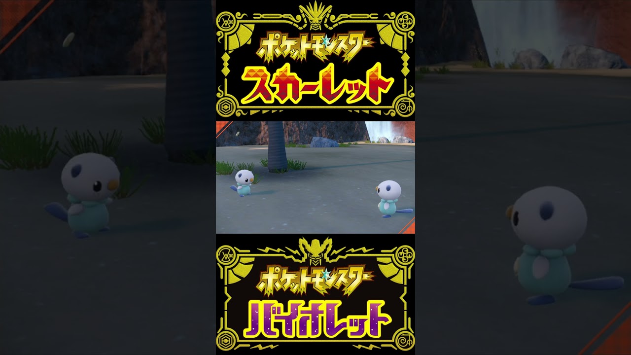 【ポケモンSV】熟睡中のミジュマル二匹とホタチ投げ #ポケモンSV #shorts