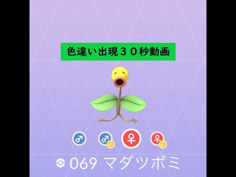 【Pokémon GO】Rarity ”B” ＃069 マダツボミ ☆shiny☆#Shorts