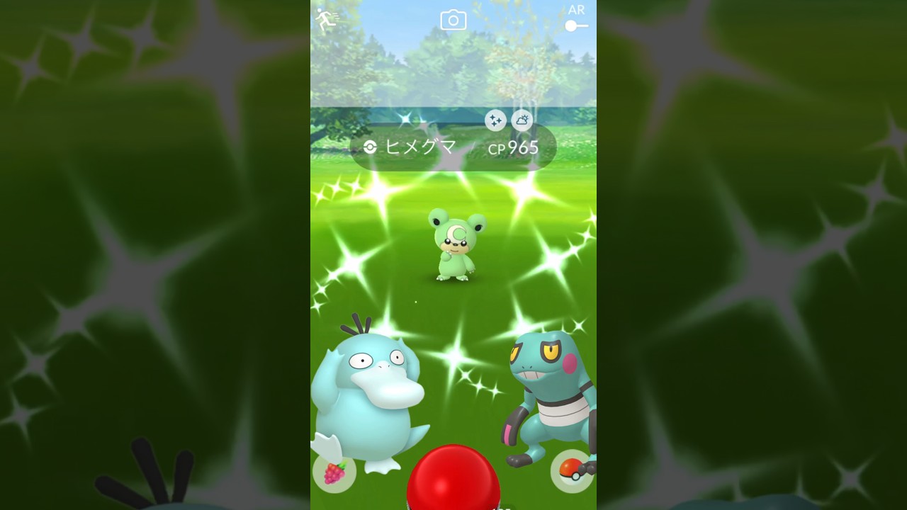 今日の色違い！#33 ヒメグマ色違い！次の満月は5／6 進化忘れないように！ #ポケモンgo #色違い #今日の色違い #pokemon