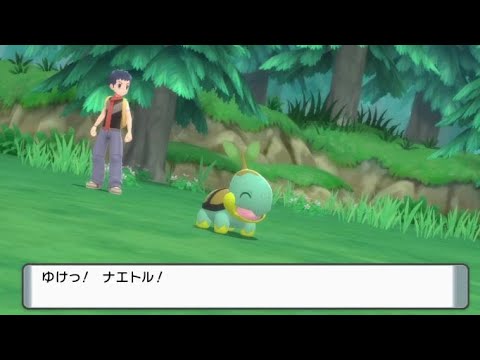 ナエトル　色違い　BDSP