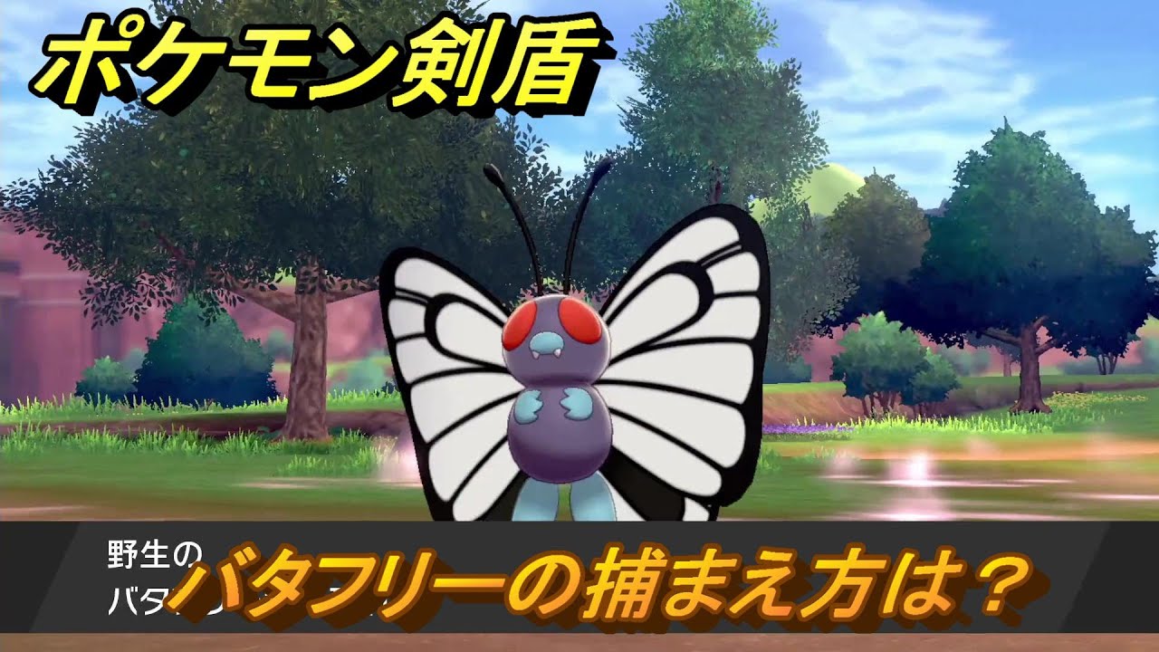 ポケモン剣盾　バタフリーの出現場所は？オススメの場所は？天気は？ポケモン図鑑コンプへの道！　最新版【ポケモンソード・シールド】