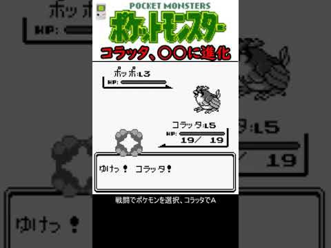 GB ポケットモンスター コラッタ、○○に進化