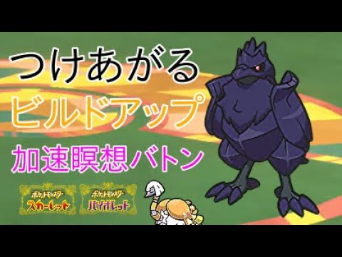 【ポケモンSV】アーマーガアのビルドアップつけあがるのために加速と瞑想をクエスパトラでバトンタッチする