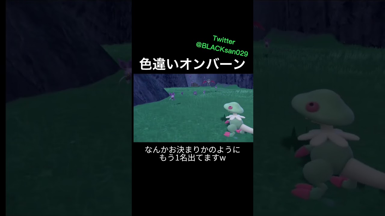 【ポケモンSV】色違いオンバーンを求めて #ポケモンsv #ポケットモンスター #色違い #色違い厳選 #shorts
